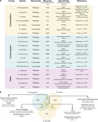 Meta-Analysis of Caenorhabditis elegans Transcriptomics Implicates Hedgehog-Like Signaling in Host-Microbe Interactions